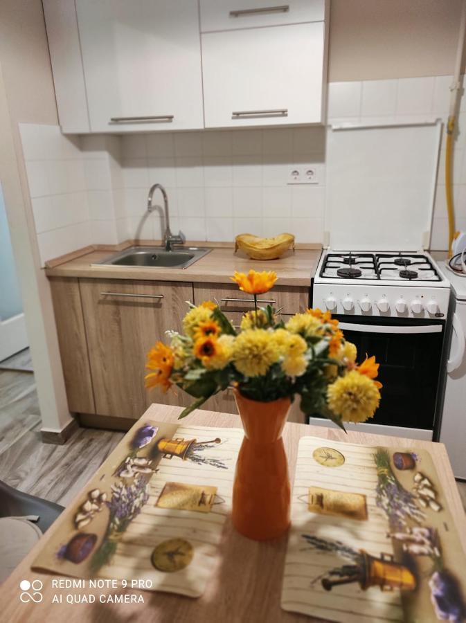 Baross Apartman Kaposvár المظهر الخارجي الصورة