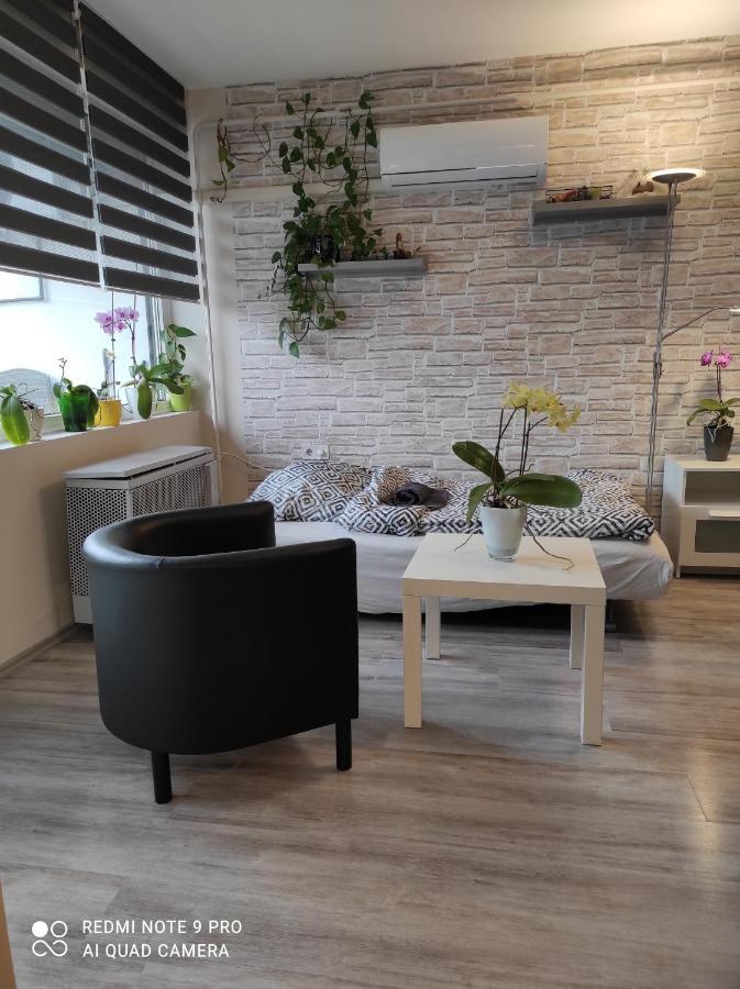 Baross Apartman Kaposvár المظهر الخارجي الصورة